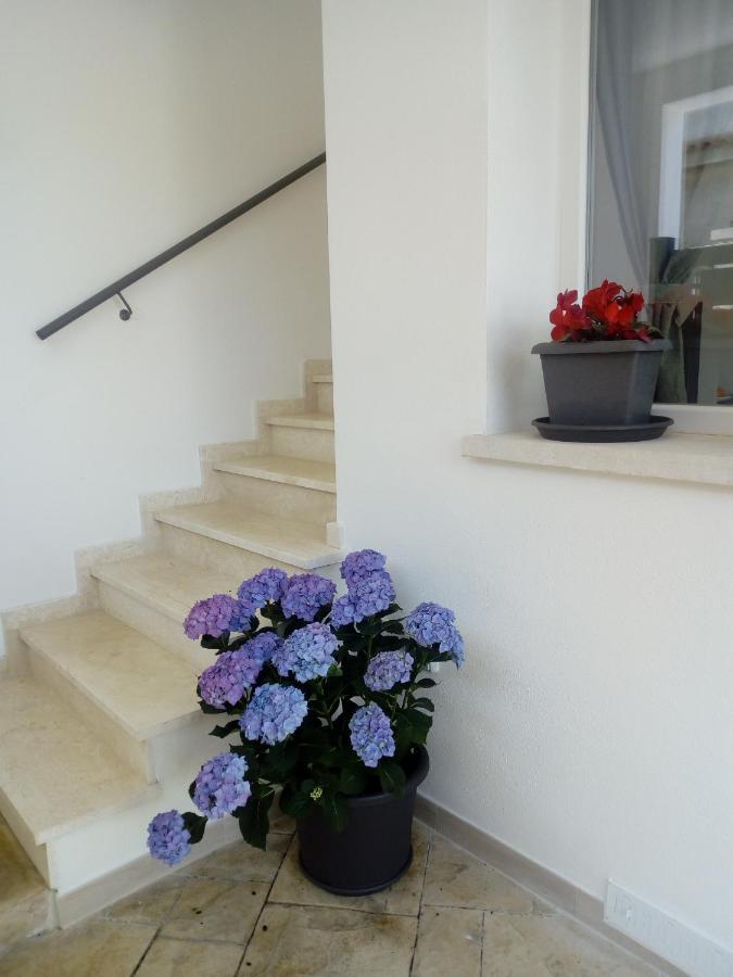 Il Colle Del Barone Bed & Breakfast คาโปแตร์รา ภายนอก รูปภาพ